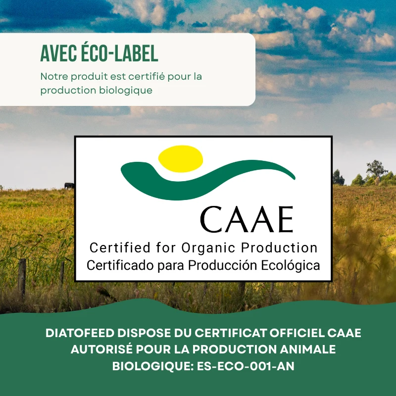 Certificat CAAE pour la production écologique