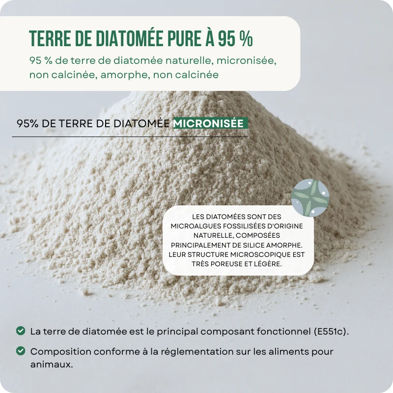 Caractéristiques du produit micronisé diatomée