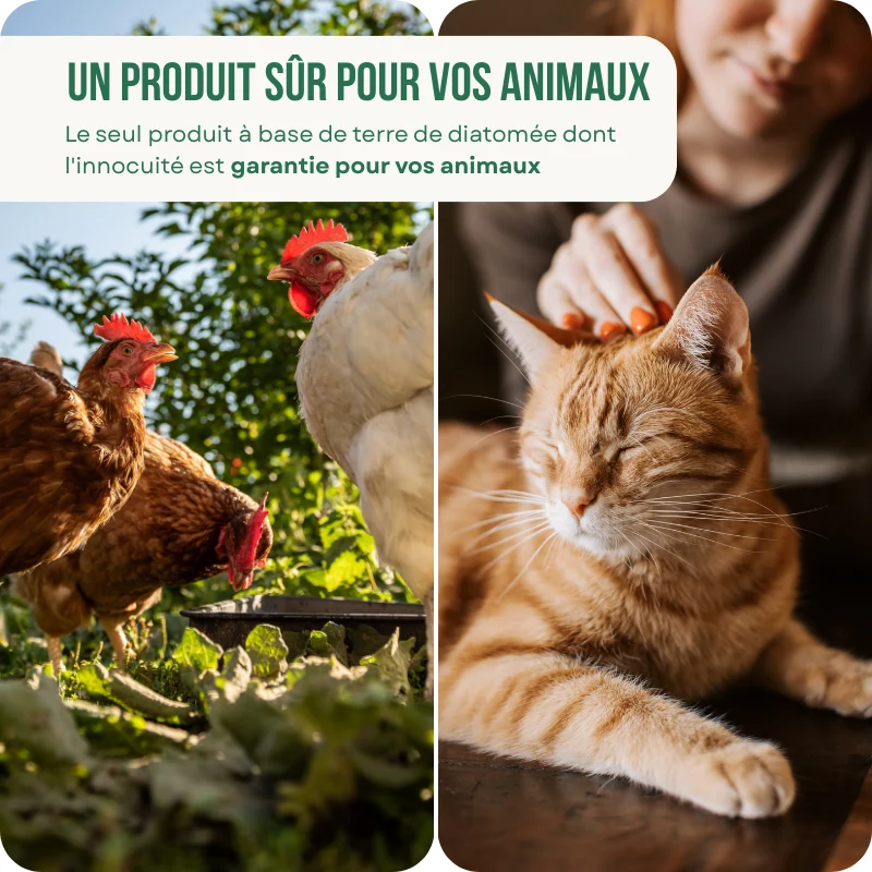 Une assurance sûre et de qualité pour vos animaux